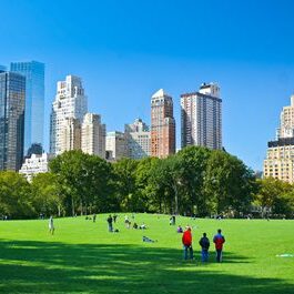 Meadow - Central Park - New York