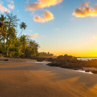 Tropical sunset along the Pacific Coast of Costa Rica with palm